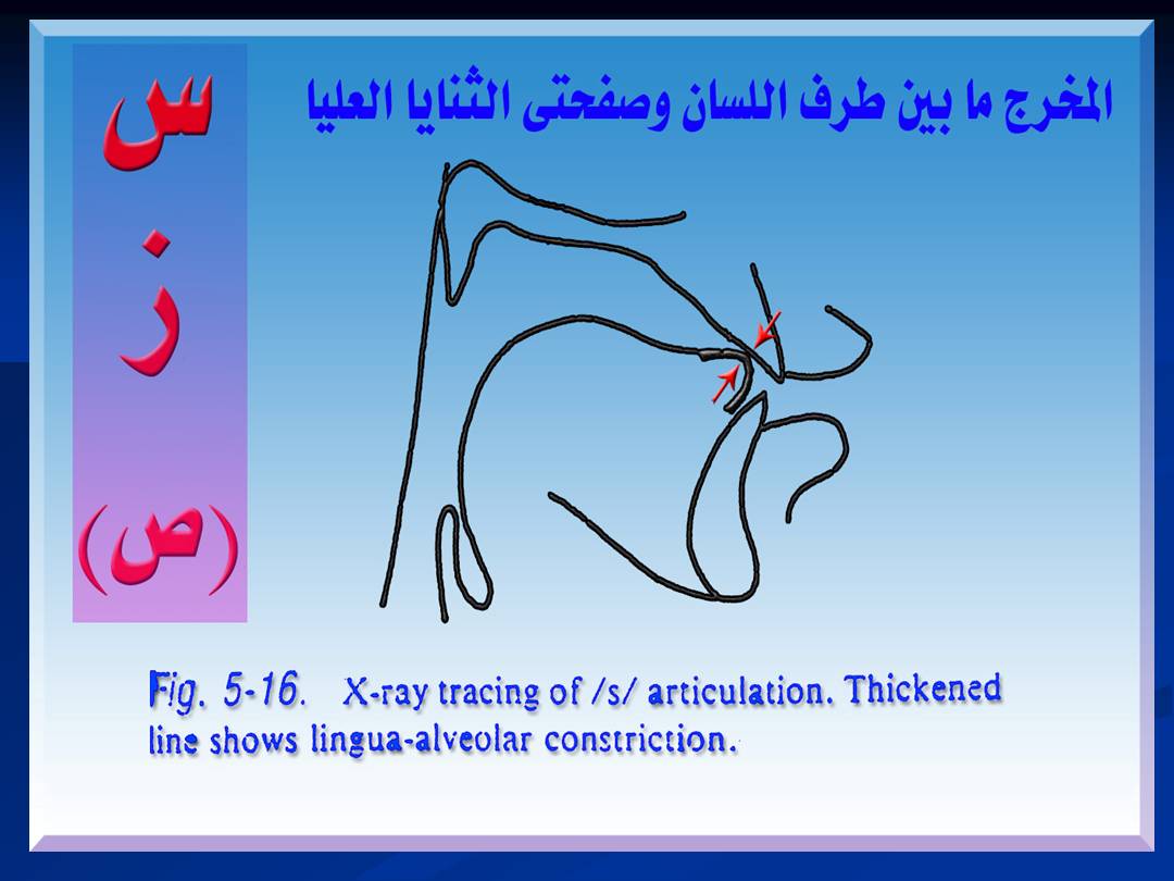 تجويد الحرف - مخارج الحروف